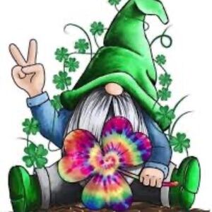 ☘️☘️☘️TOP O’ THE MORNING TO YA!☘️☘️☘️